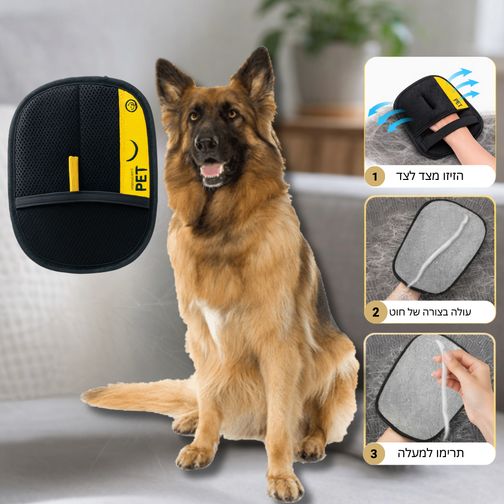 Xmaster™ כפפת הקסם